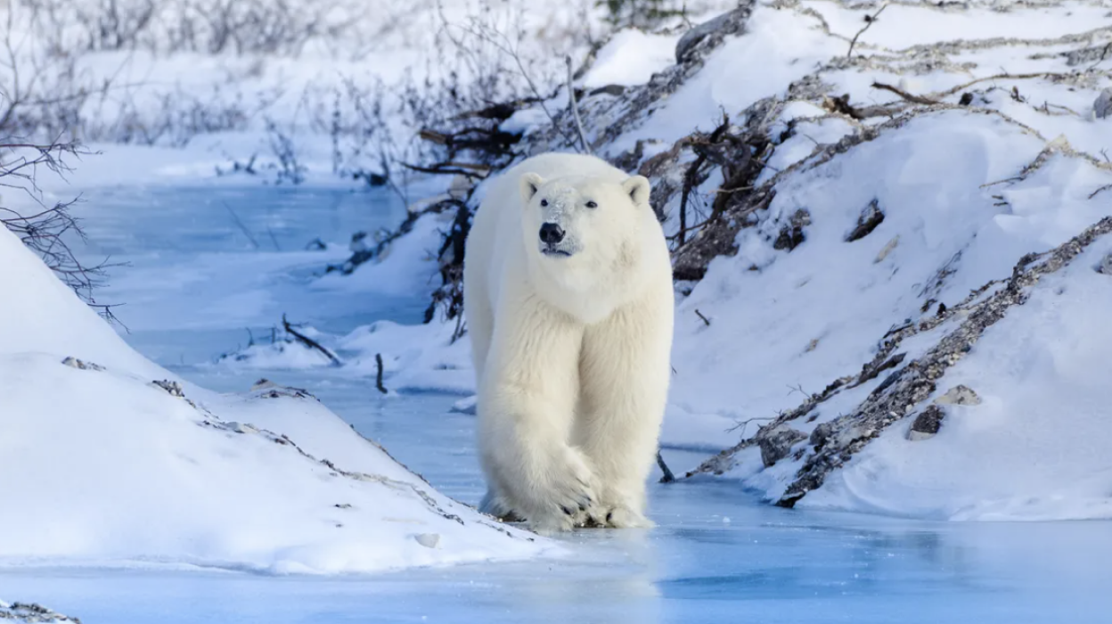 Jodie Turner-Smith is changing the script