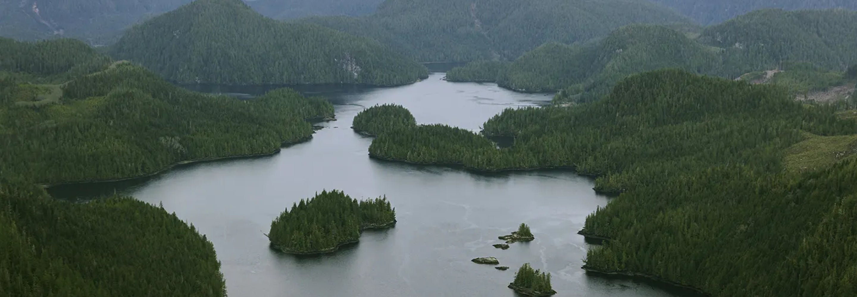 Growing up on the edge of B.C.’s Great Bear Rainforest
