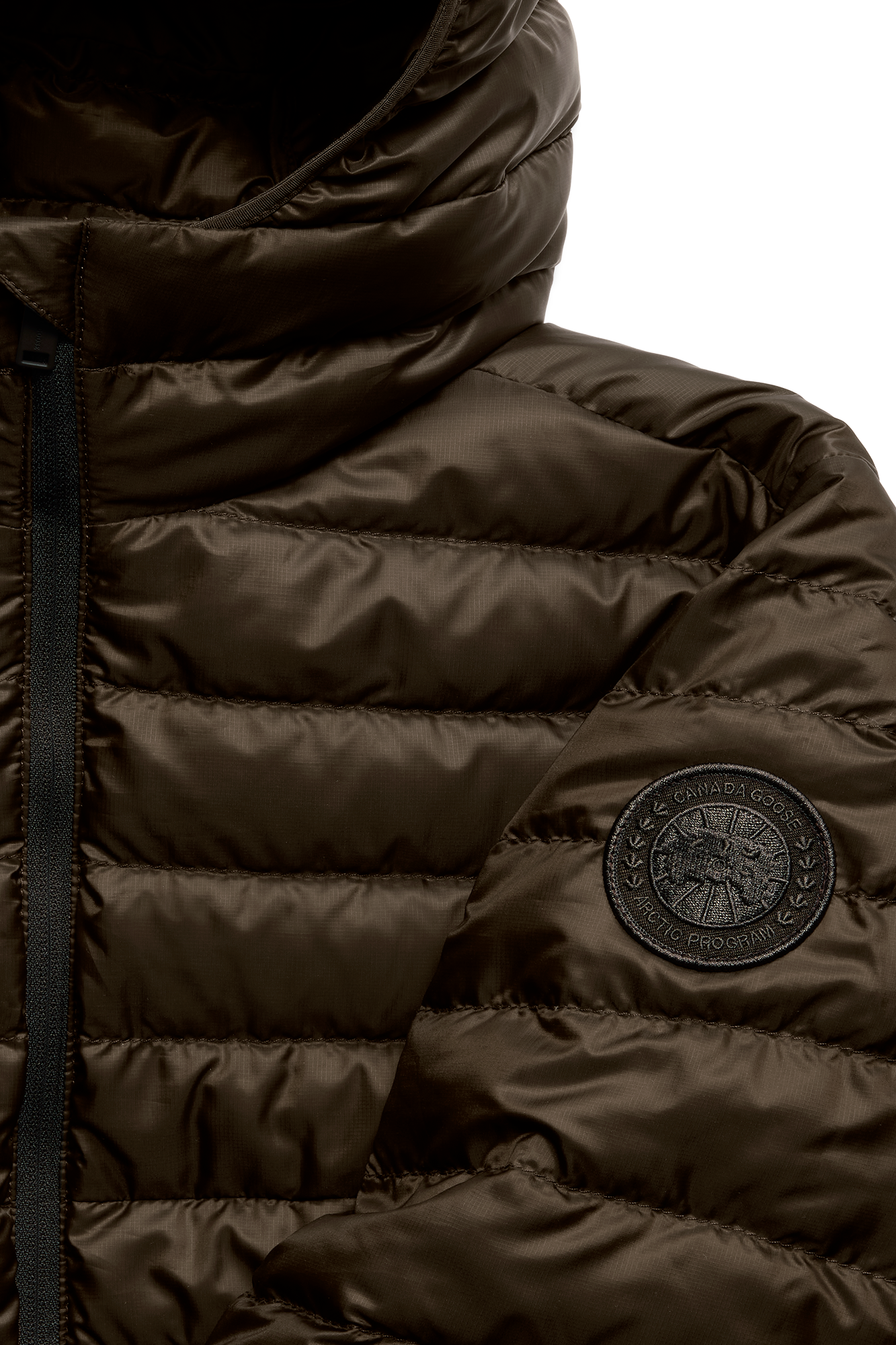 2482WT_9842_p_1767736570